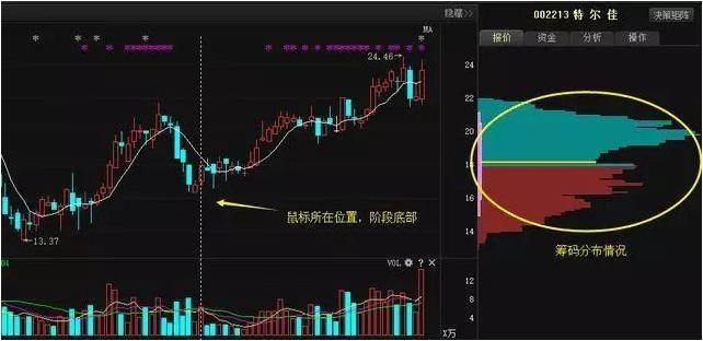 特尔佳股票最新消息全面解析