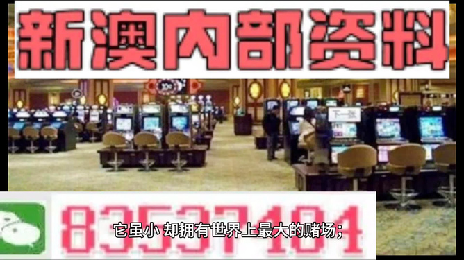 新澳门资料免费长期公开,2024,|精选解释解析落实,关于新澳门资料免费长期公开与精选解析落实的探讨——警惕违法犯罪风险