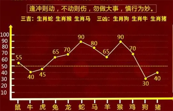 一肖一码100-准资料,|精选解释解析落实,一肖一码，精准资料的解析与落实