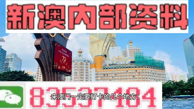 2024新澳最精准免费资料,|精选解释解析落实,揭秘2024新澳最精准免费资料解析与落实策略