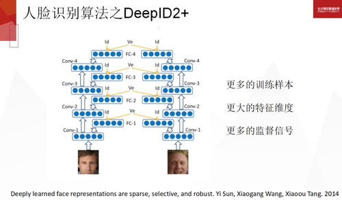 2024年全年資料免費大全優勢,|精选解释解析落实,探索未来，2024年全年資料免費大全的優勢與解析