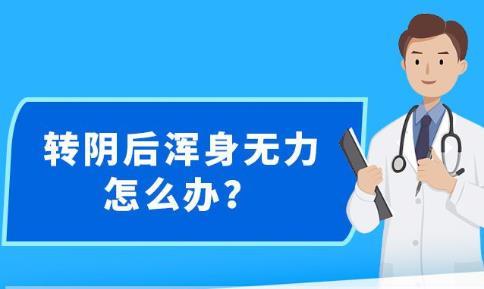 新澳精准资料免费公开,|精选解释解析落实,新澳精准资料免费公开，解析与落实精选解释