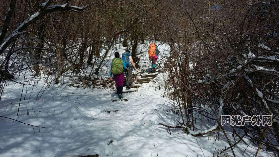 高天古道2016最新消息,高天古道，探寻2016最新消息