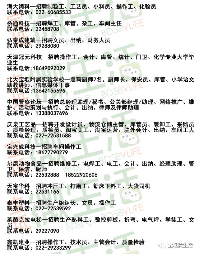 宁晋招聘网最新招聘,宁晋招聘网最新招聘动态深度解析