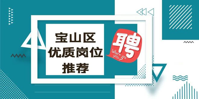 宝山最新招聘信息,宝山最新招聘信息概览