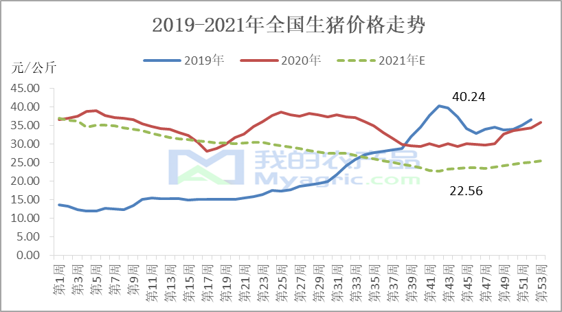 猪价走势最新消息,最新猪价走势分析