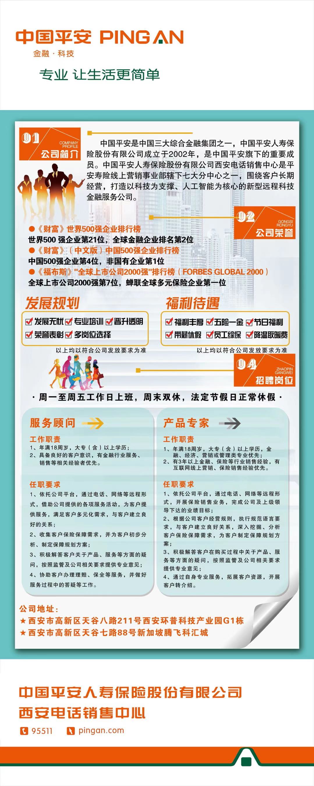 平安招聘网最新招聘,平安招聘网最新招聘动态及其影响