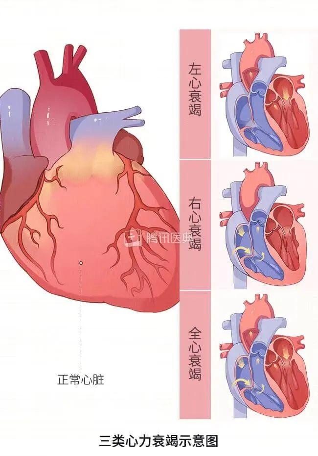 最新医学研究,最新医学研究，重塑我们对健康与疾病的理解