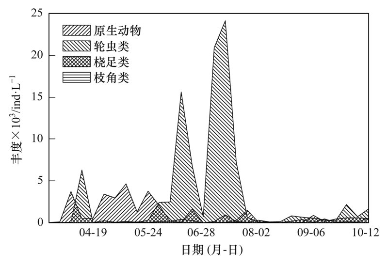 澳门最新招聘,澳门最新招聘动态及其影响