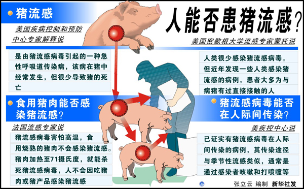 猪流感最新消息,猪流感最新消息，全球防控进展与应对策略